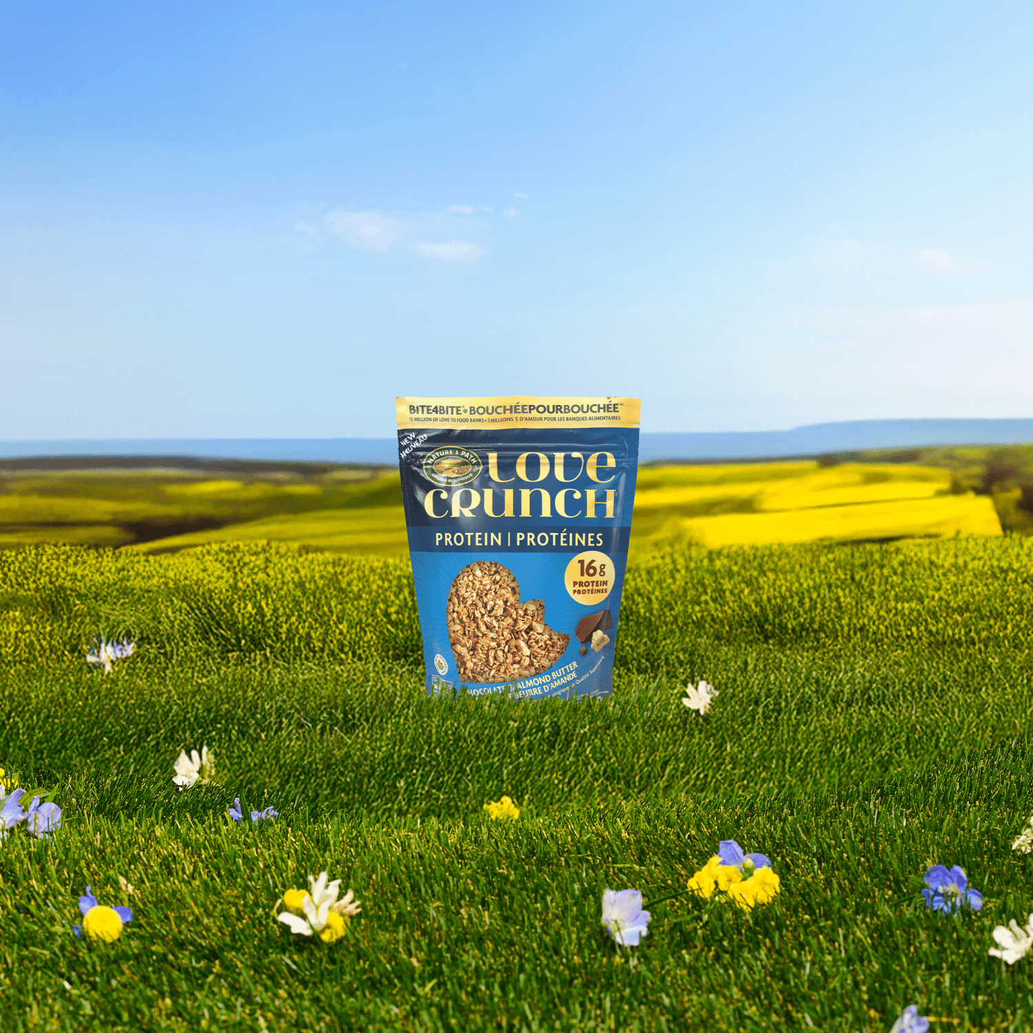 Chocolate_Almond_Butter_Protein_Granola_058449251316-25131