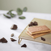 Frosted_Lotta_Chocolotta_Toaster_Pastries_058449410140-41014U2