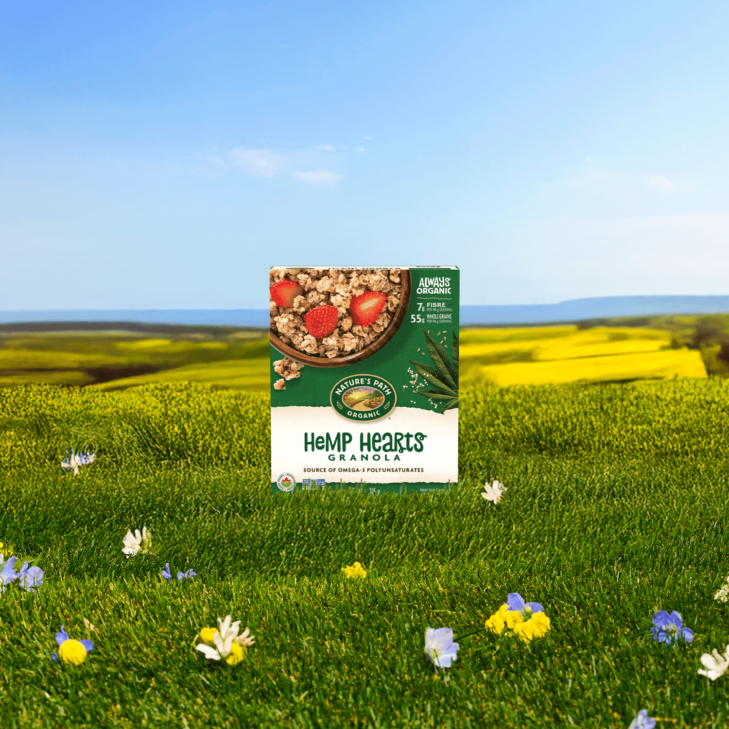 Hemp_Hearts_Granola_058449890003-89000