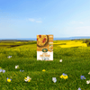 HoneyD_Corn_Flakes_Cereal_058449602187-60218